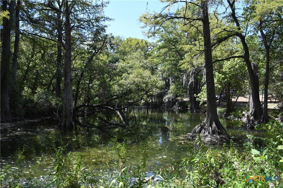 0.2 acres in Comal County - photo 16
