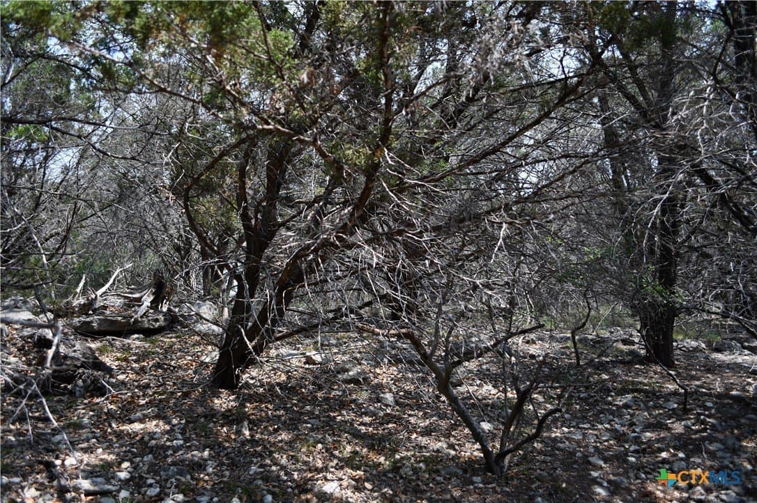 0.2 acres in Comal County featured view