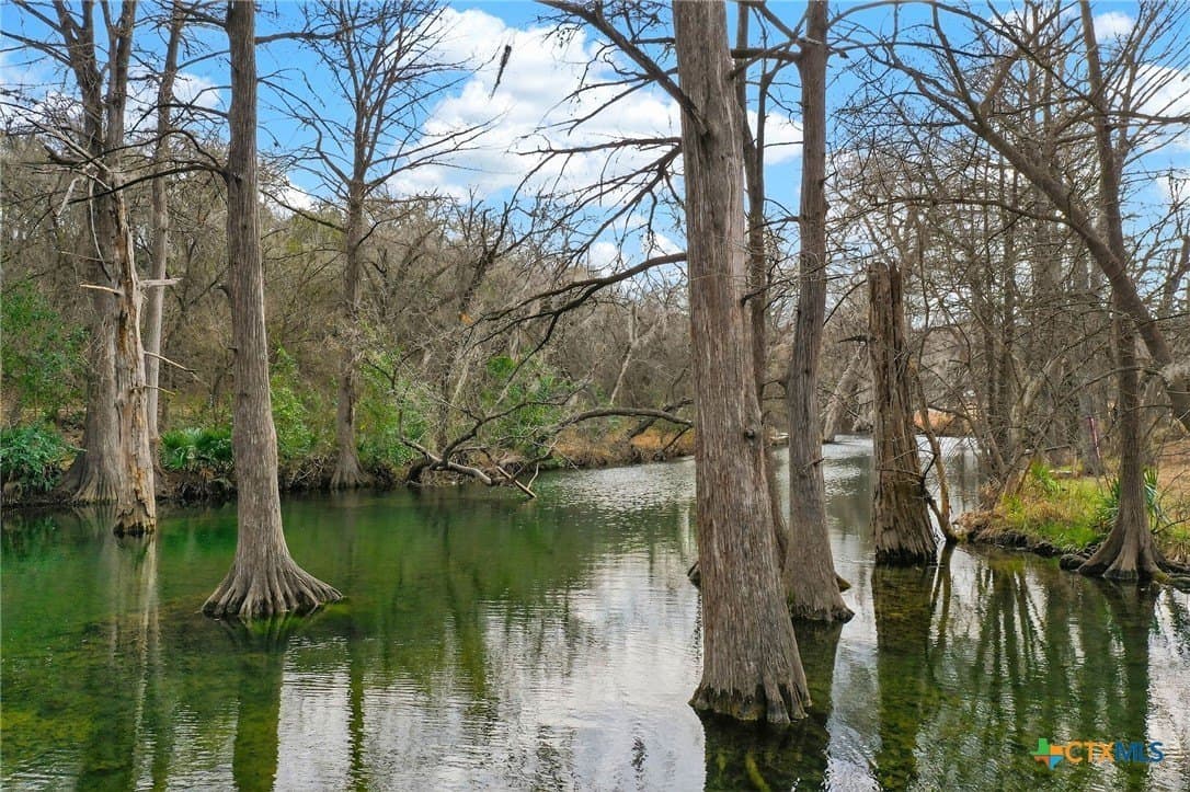 0.2 acres in Comal County - photo 24