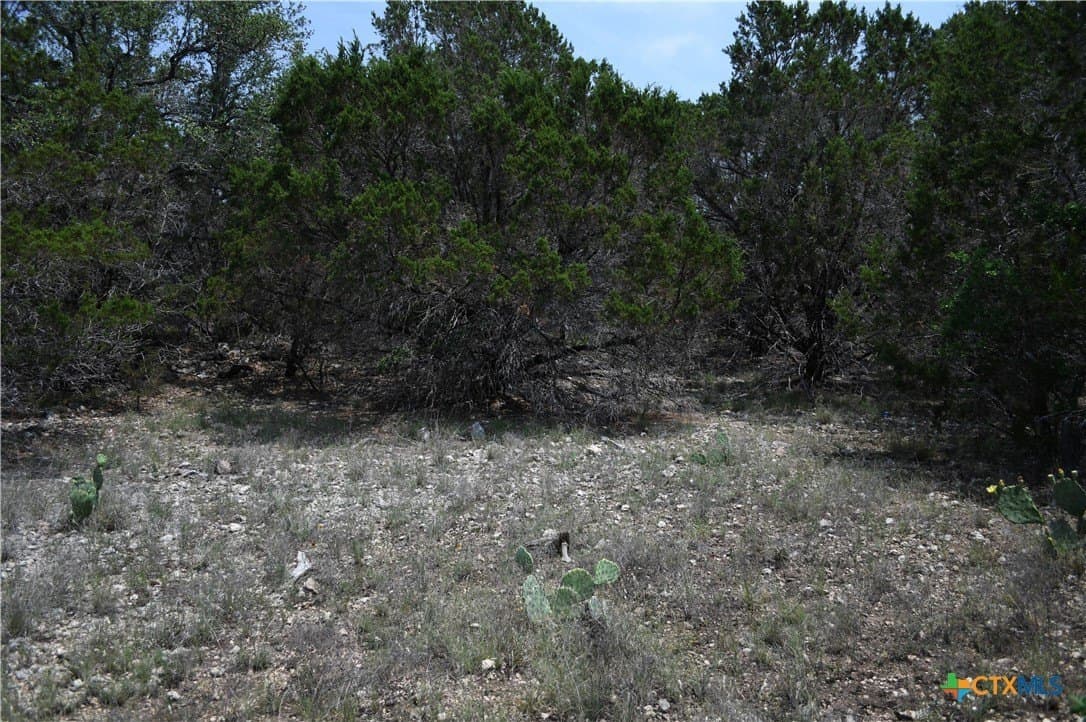 0.2 acres in Comal County - photo 7