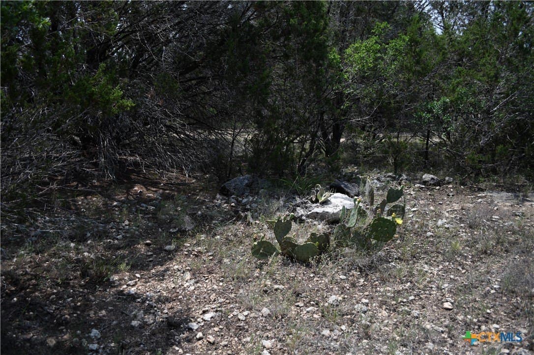 0.2 acres in Comal County - photo 6