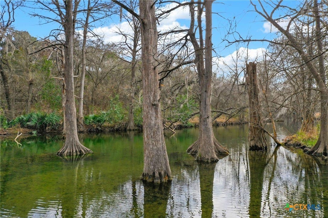 0.2 acres in Comal County - photo 20