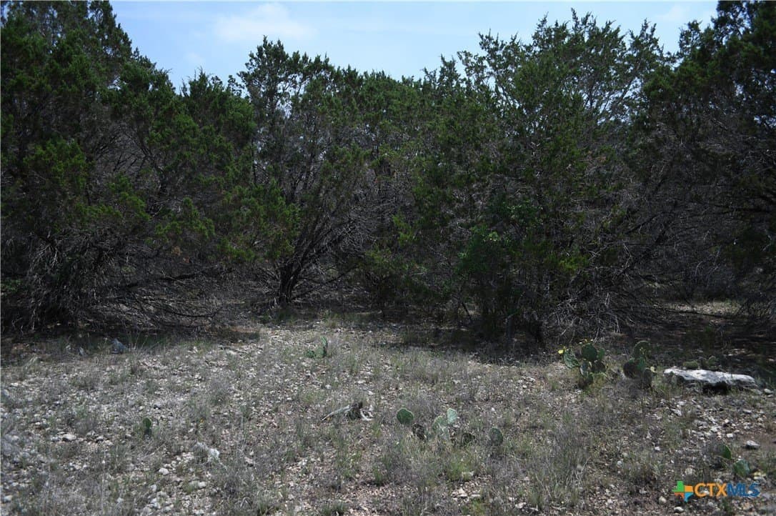 0.2 acres in Comal County gallery image 2