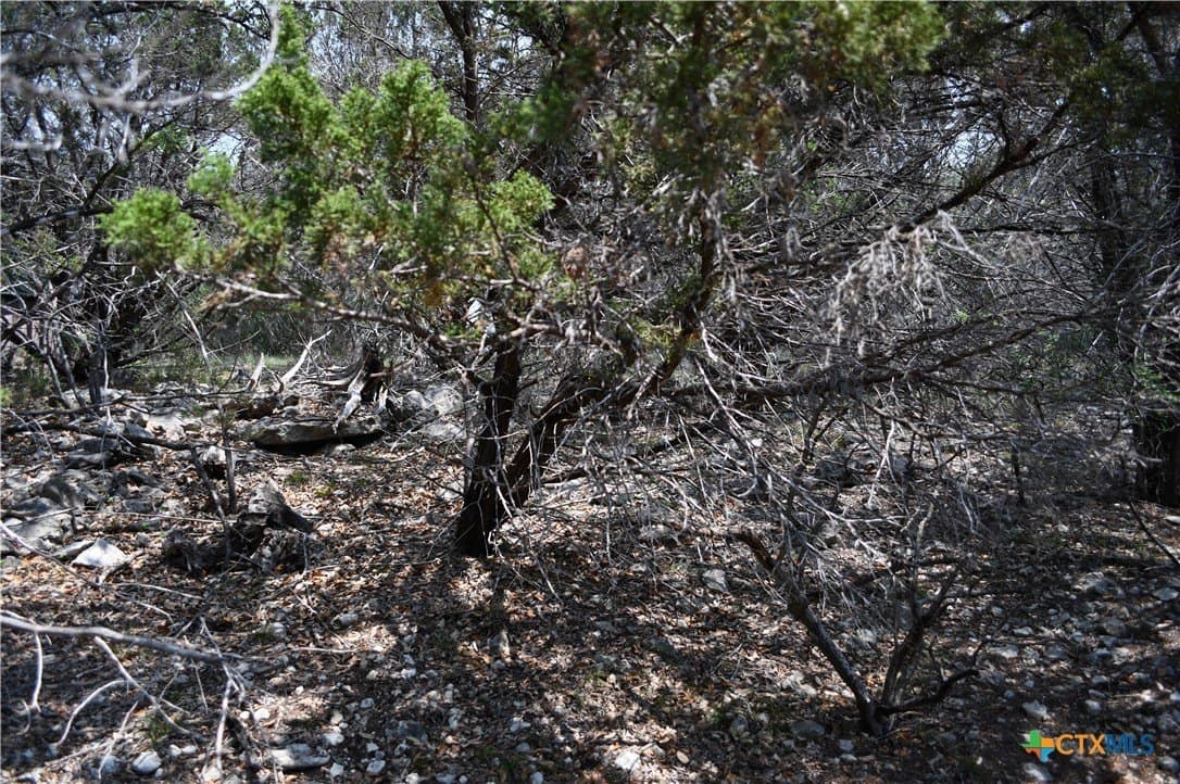 0.2 acres in Comal County gallery image 4