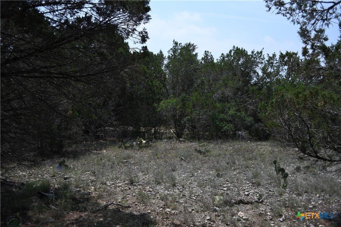 0.2 acres in Comal County gallery image 3