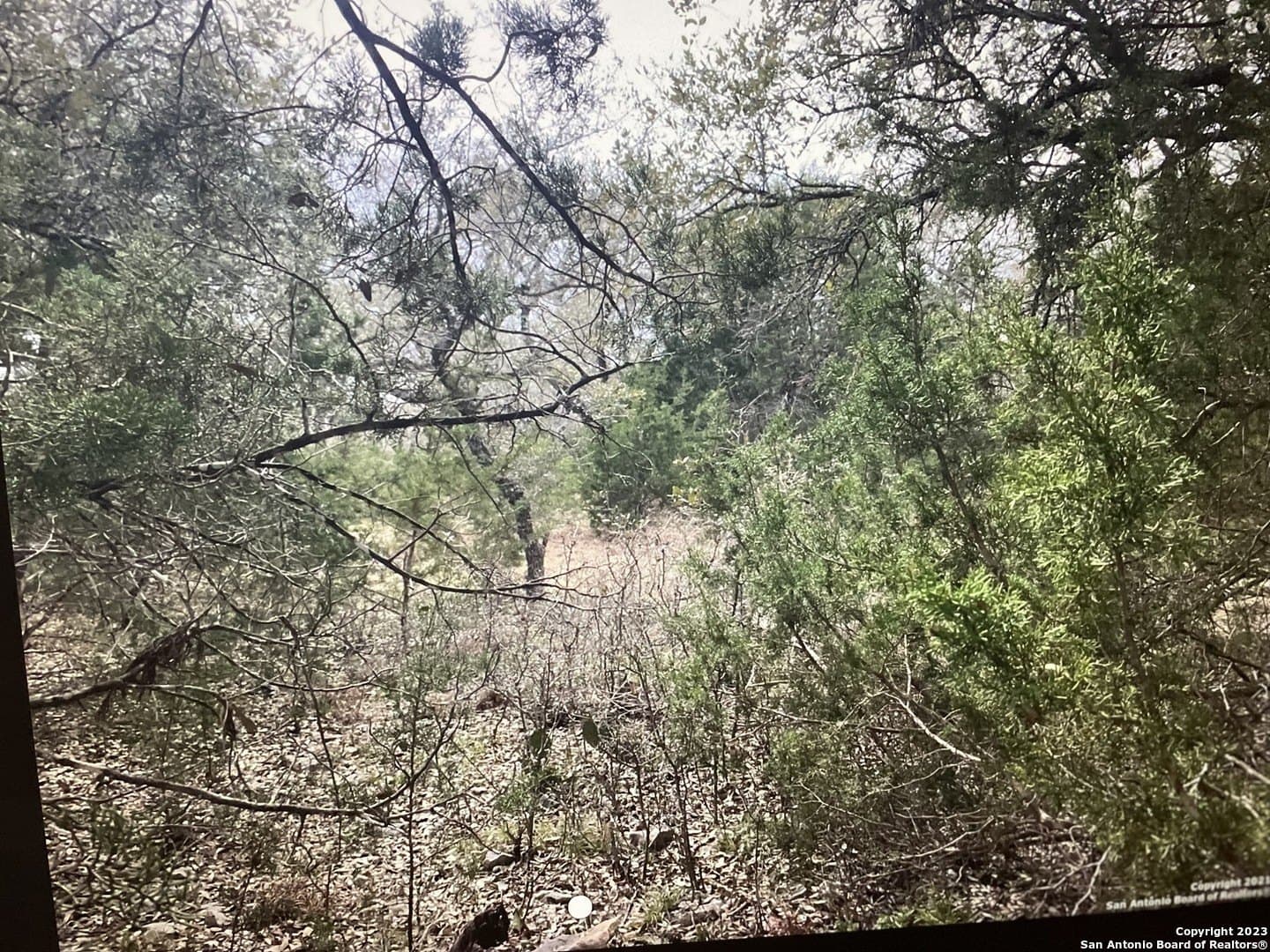 0.17 acres in Blanco County gallery image 2