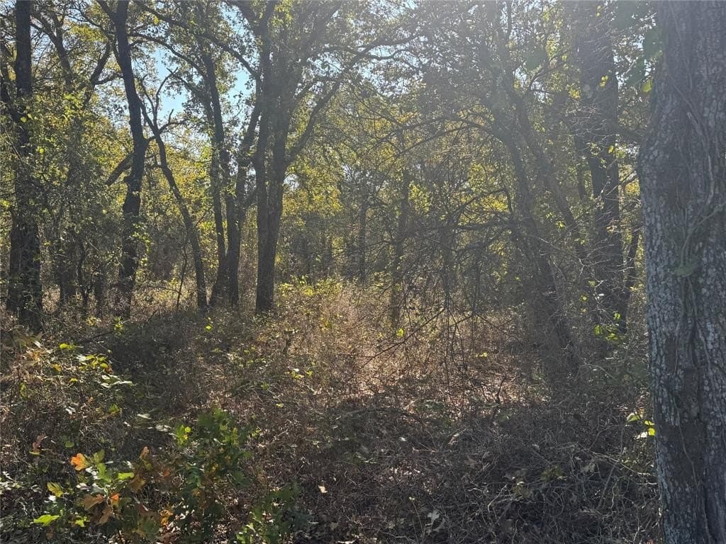 15 acres in Jack County