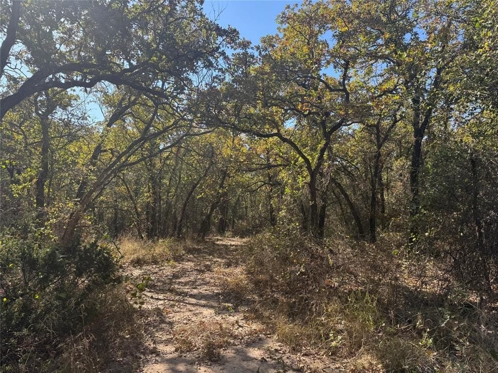 15 acres in Jack County gallery image 4