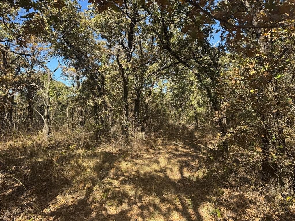 15 acres in Jack County gallery image 2