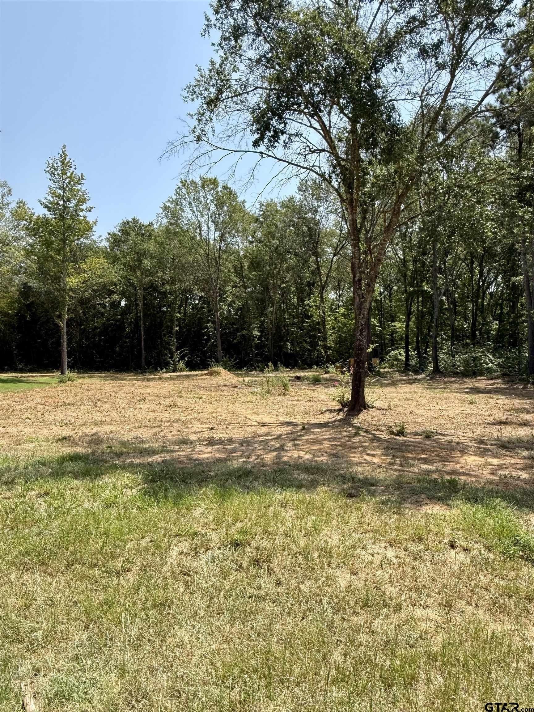 0.5 acres in Smith County - photo 3