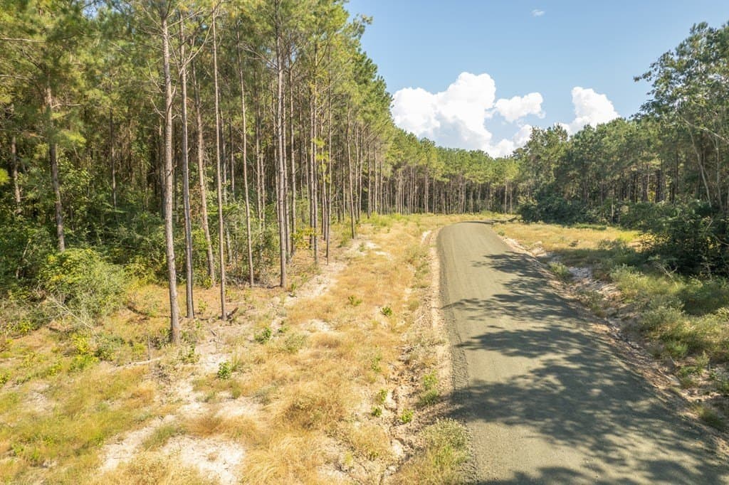 3.49 acres in Texas County featured view