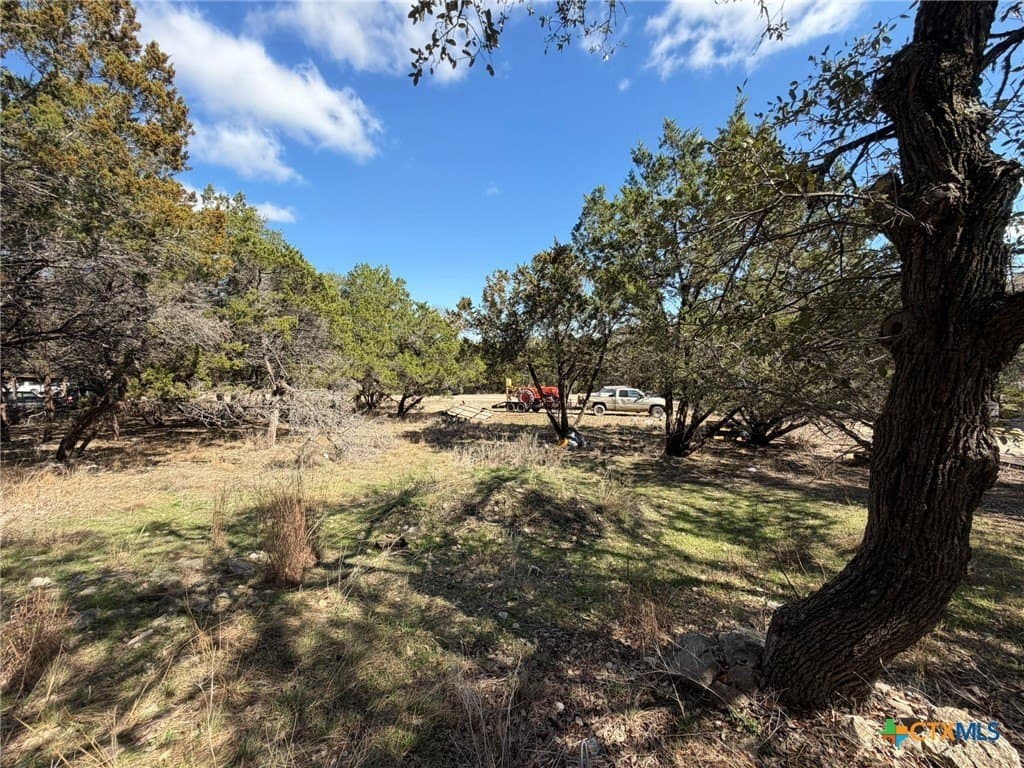 0.23 acres in Comal County gallery image 3