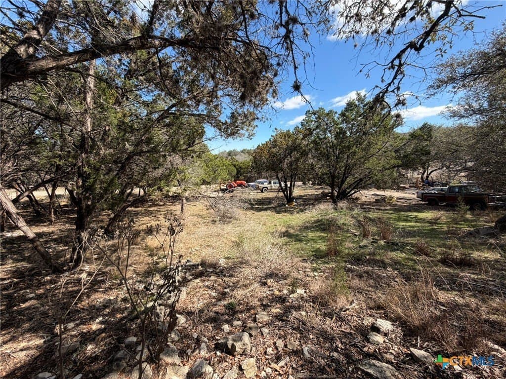 0.23 acres in Comal County gallery image 4