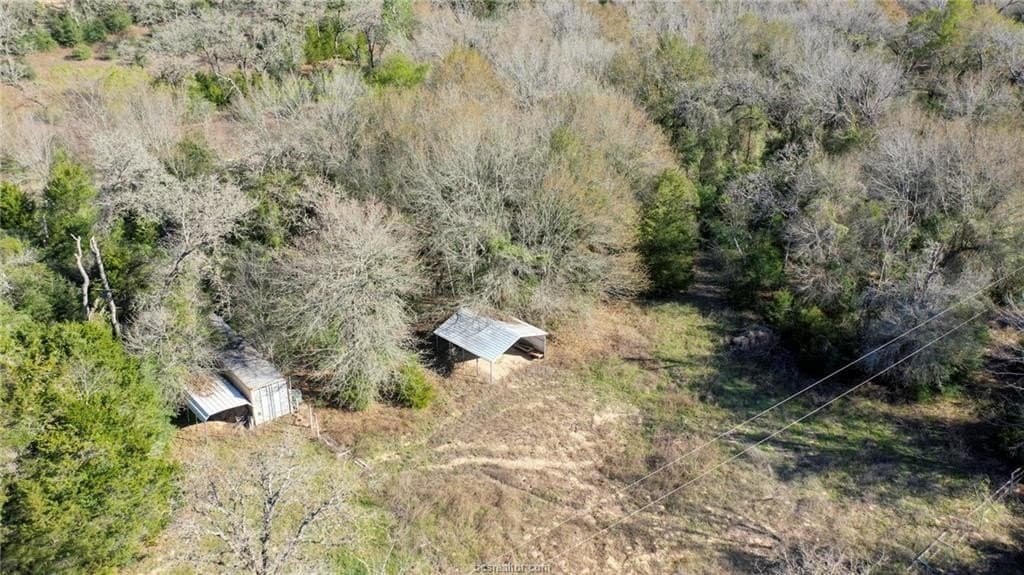 15.85 acres in Burleson County gallery image 4