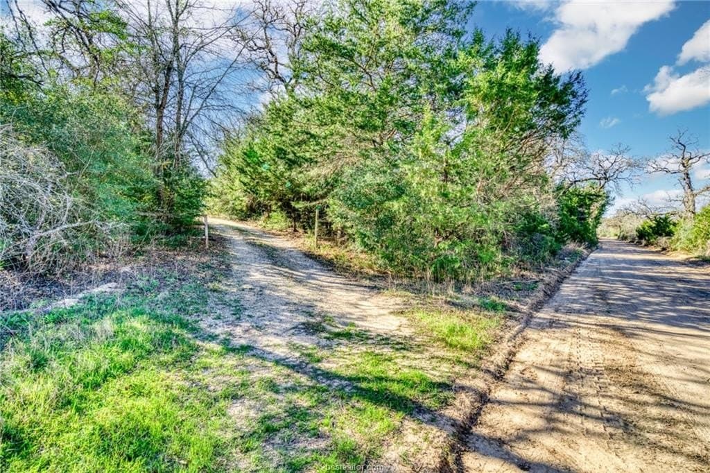 15.85 acres in Burleson County - photo 14