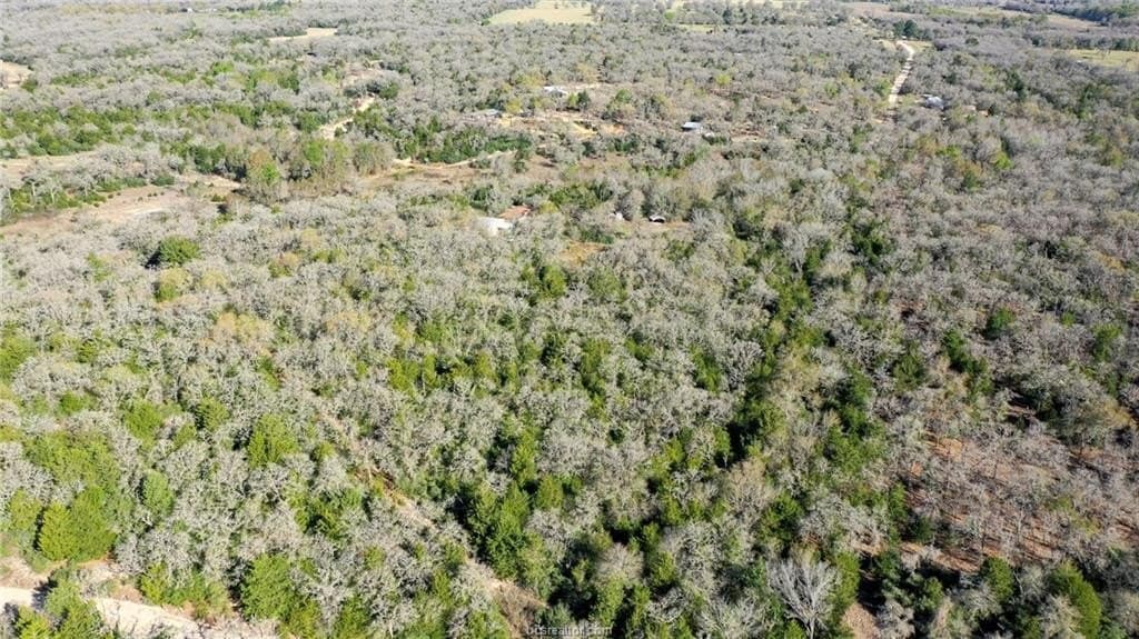 15.85 acres in Burleson County - photo 9