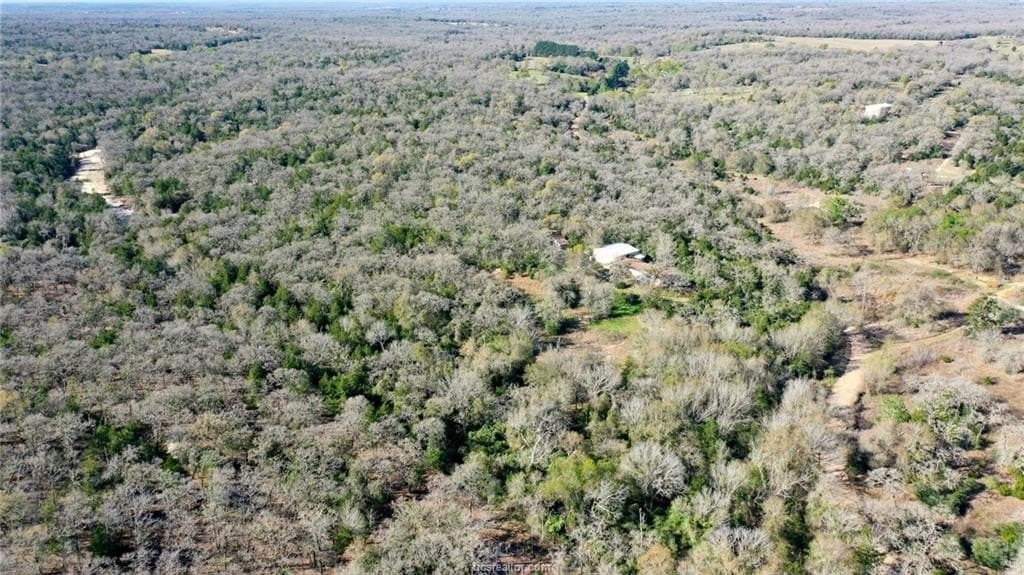 15.85 acres in Burleson County - photo 10