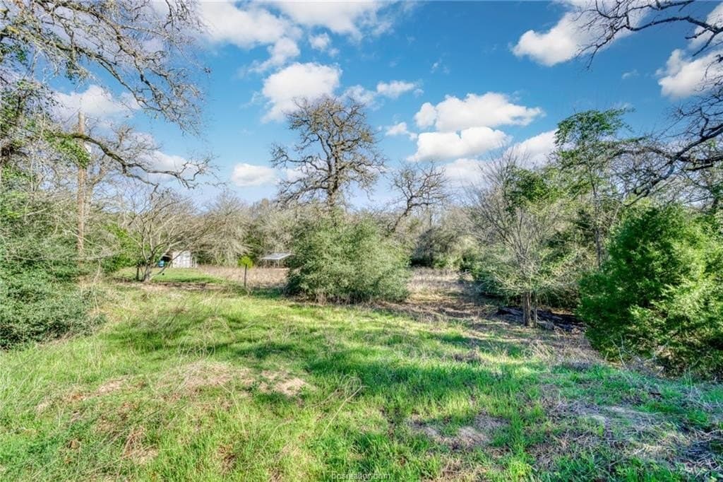 15.85 acres in Burleson County - photo 13