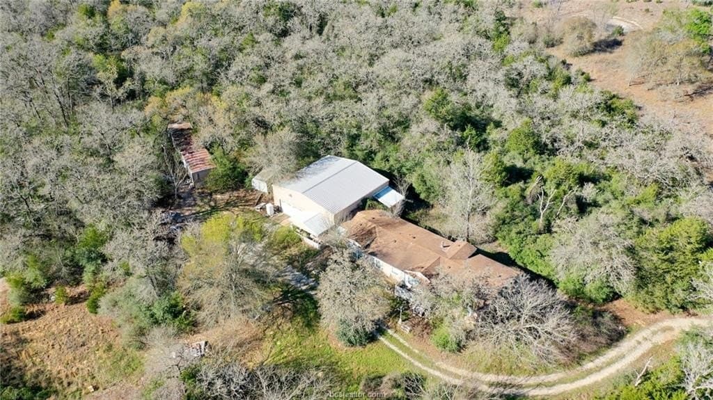15.85 acres in Burleson County gallery image 3