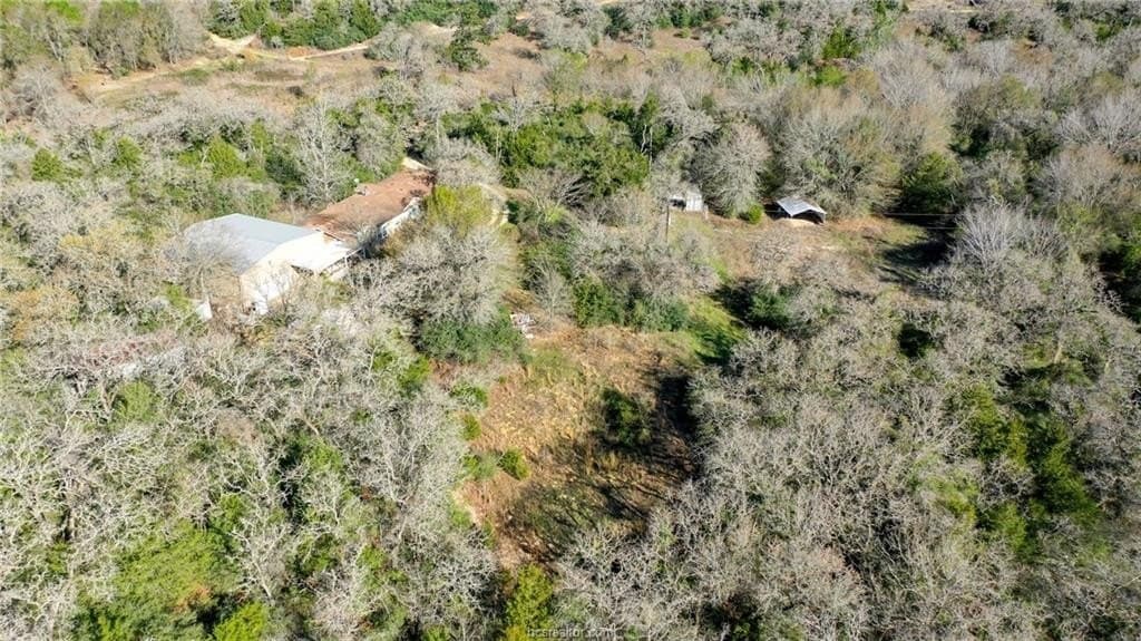 15.85 acres in Burleson County - photo 8