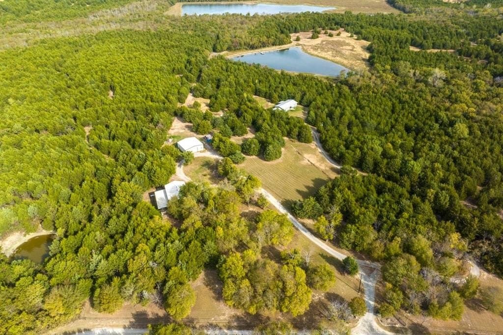 52.25 acres in Fannin County gallery image 2