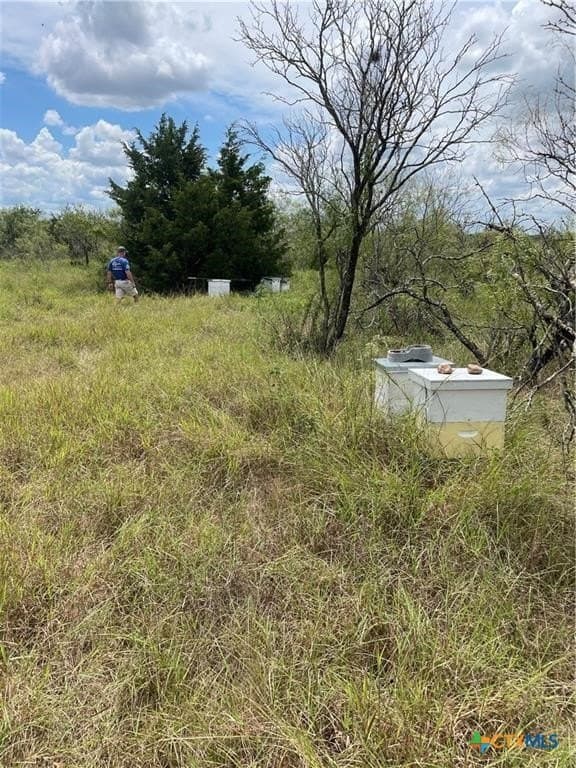 11.13 acres in Travis County - photo 11