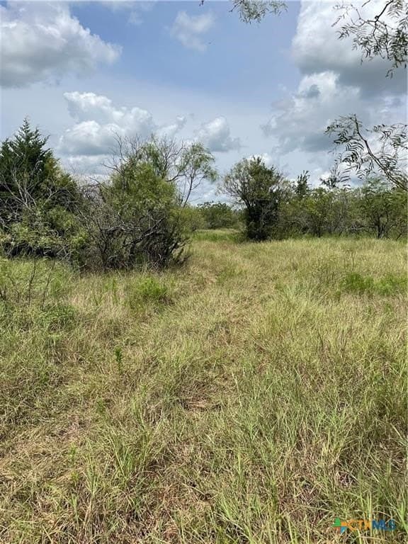 11.13 acres in Travis County - photo 13