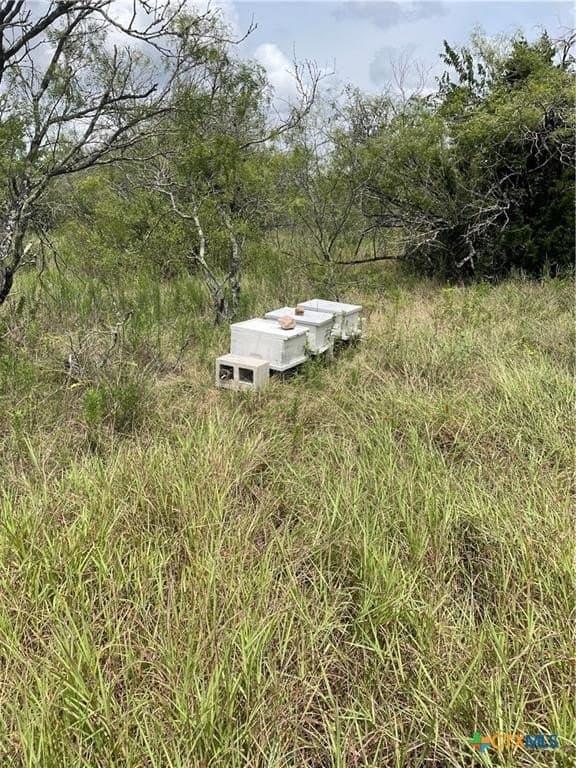 11.13 acres in Travis County - photo 10