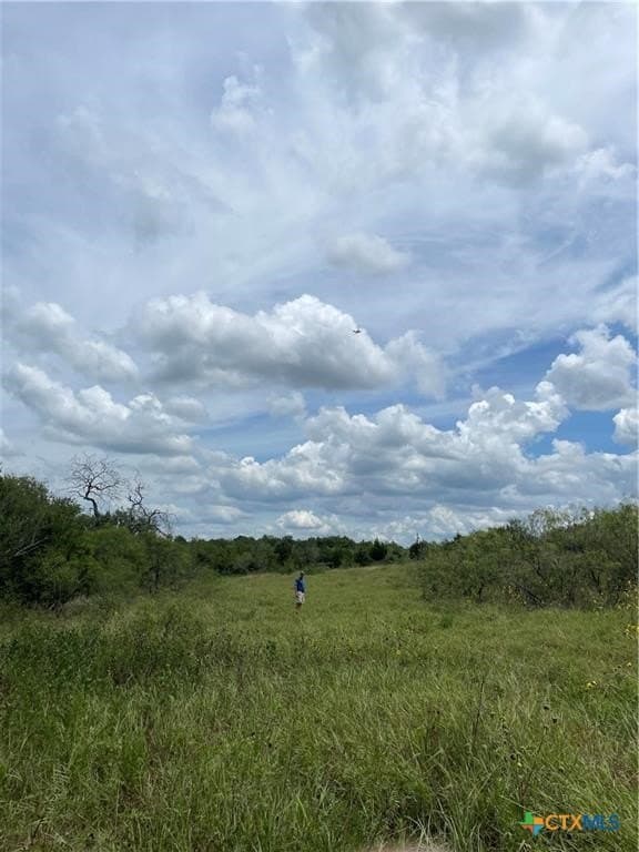 11.13 acres in Travis County - photo 9