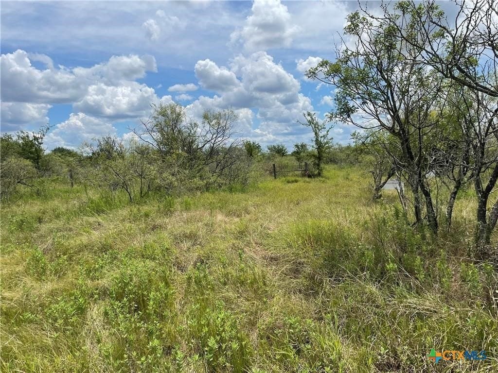 11.13 acres in Travis County gallery image 3