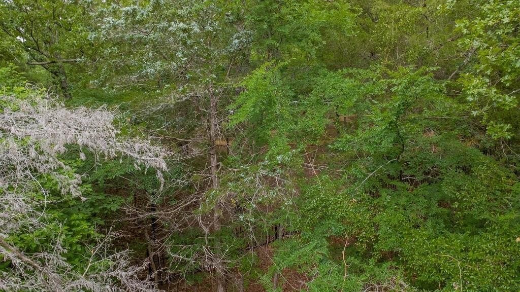 0.61 acres in Smith County featured view