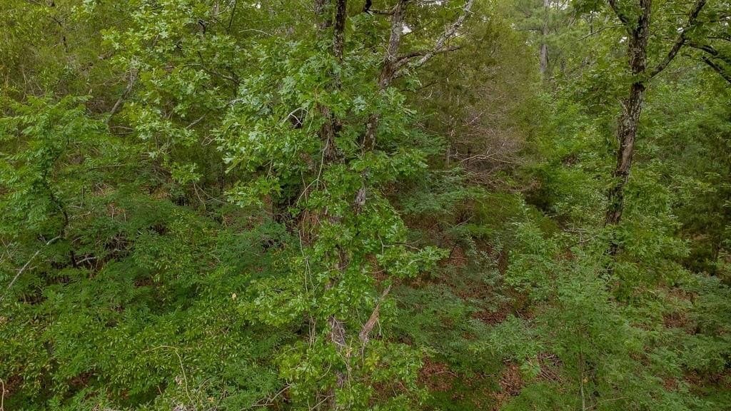 0.61 acres in Smith County gallery image 4