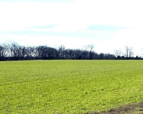 21.98 acres in Lamar County gallery image 2