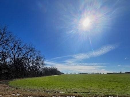 21.98 acres in Lamar County gallery image 4