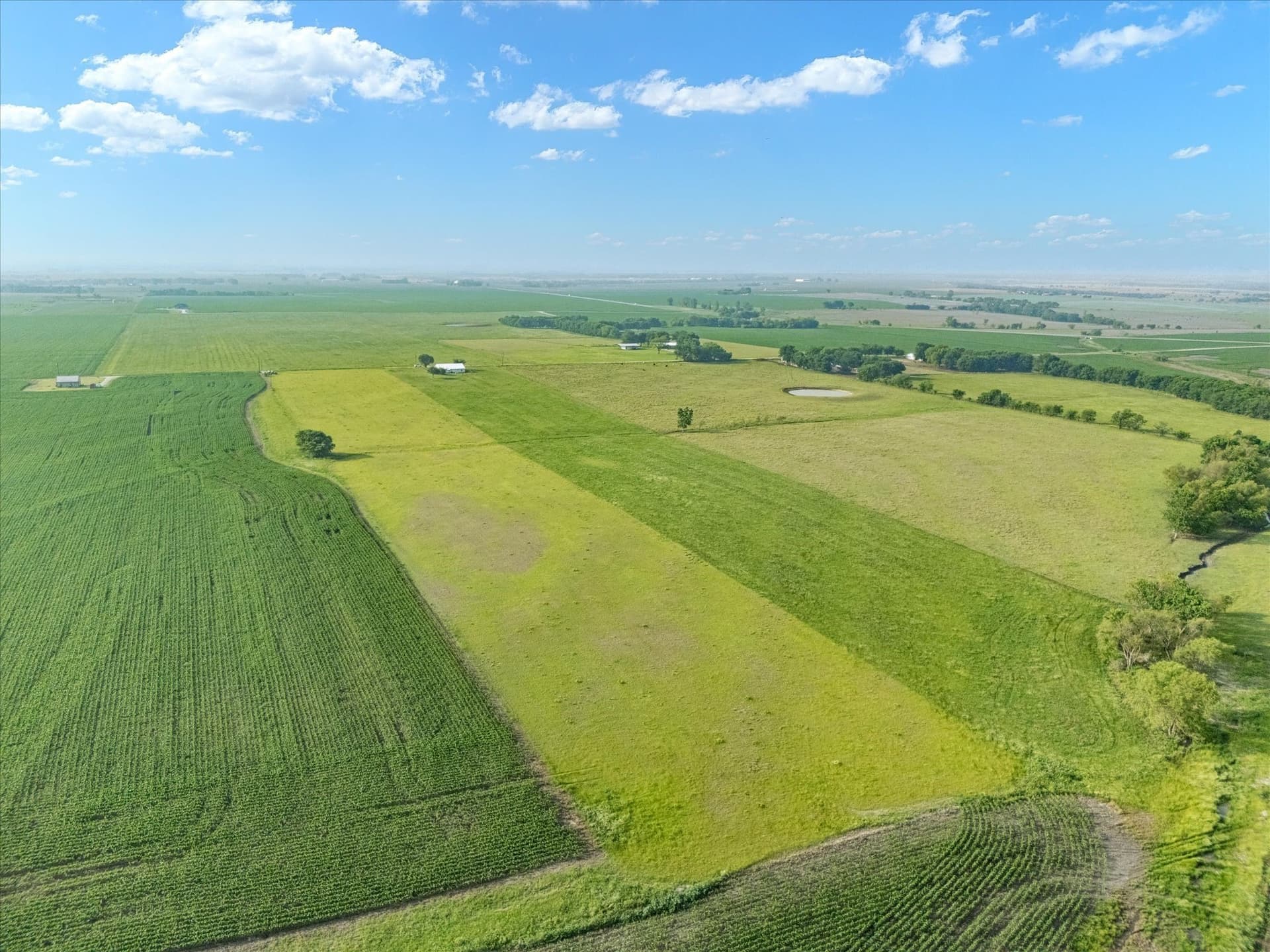 10 acres in Hill County - photo 16