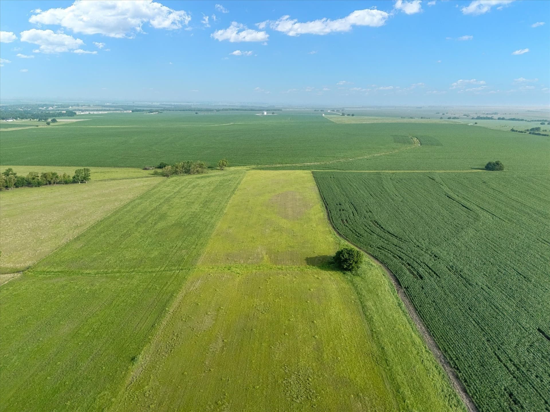 10 acres in Hill County - photo 14