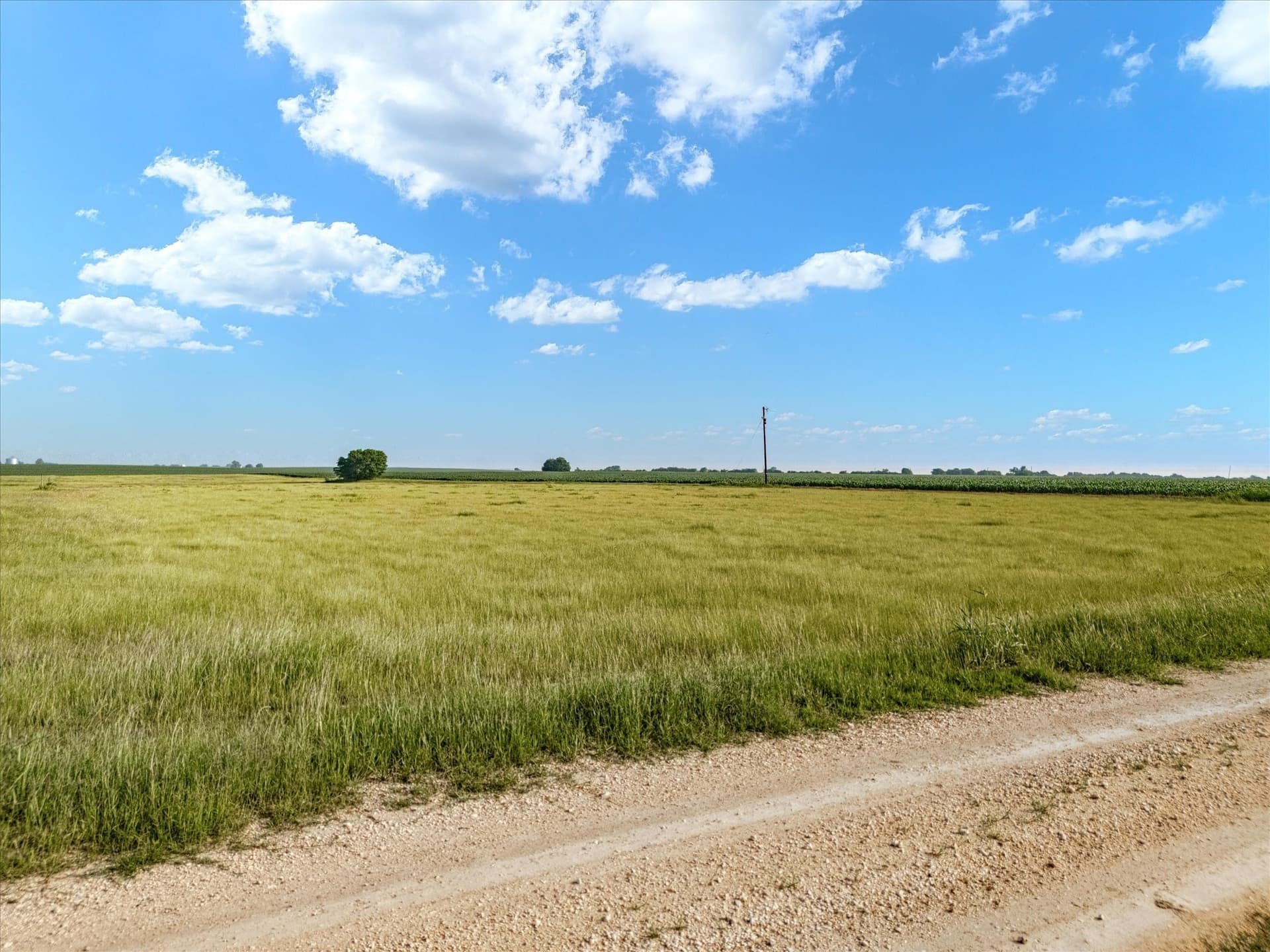 10 acres in Hill County - photo 8