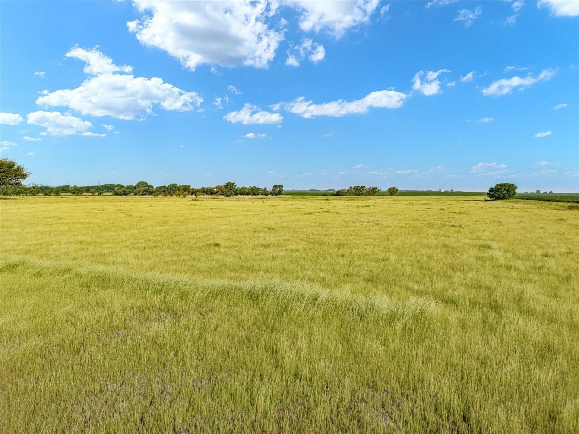 10 acres in Hill County - photo 6