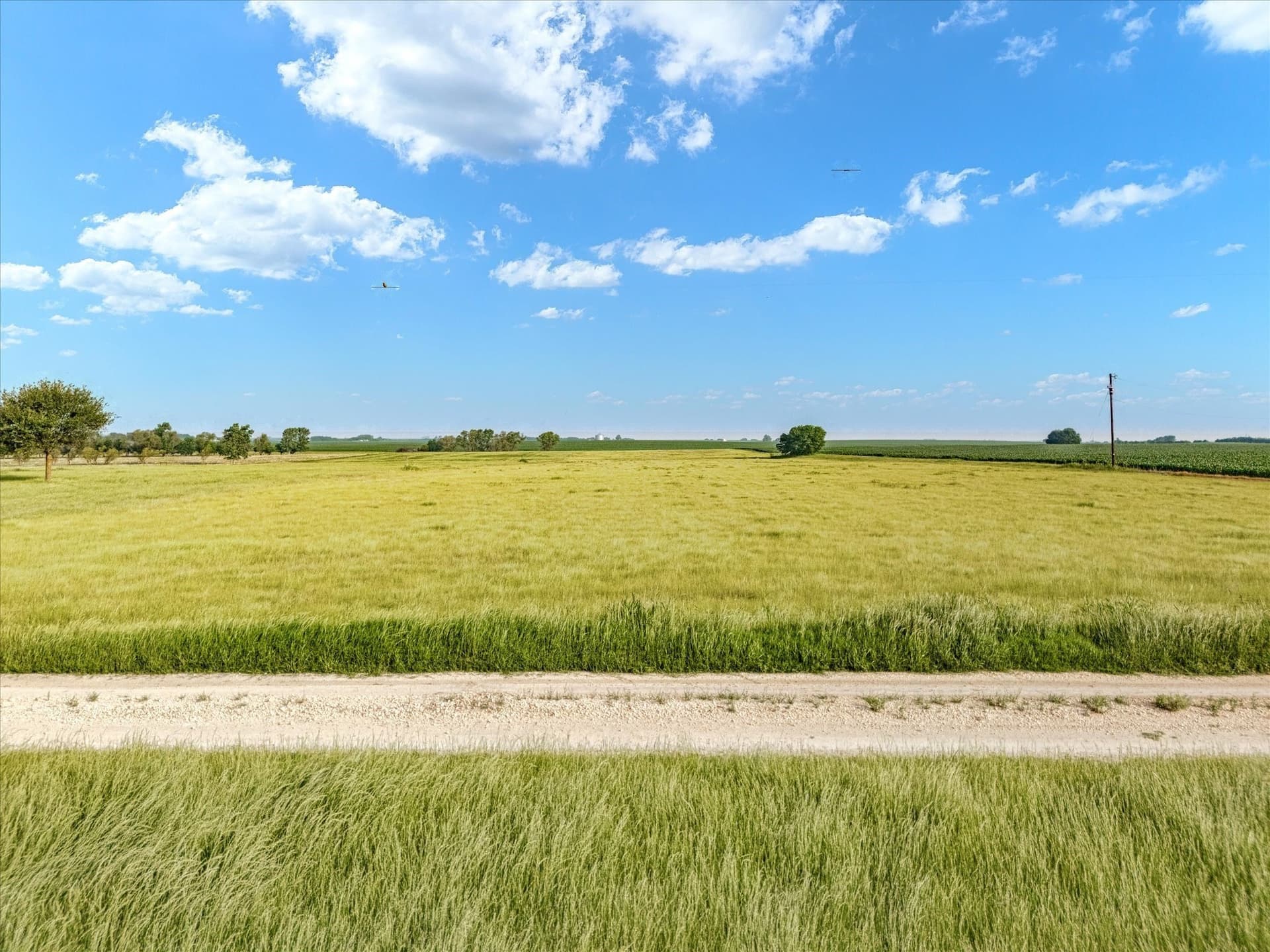 10 acres in Hill County - photo 7