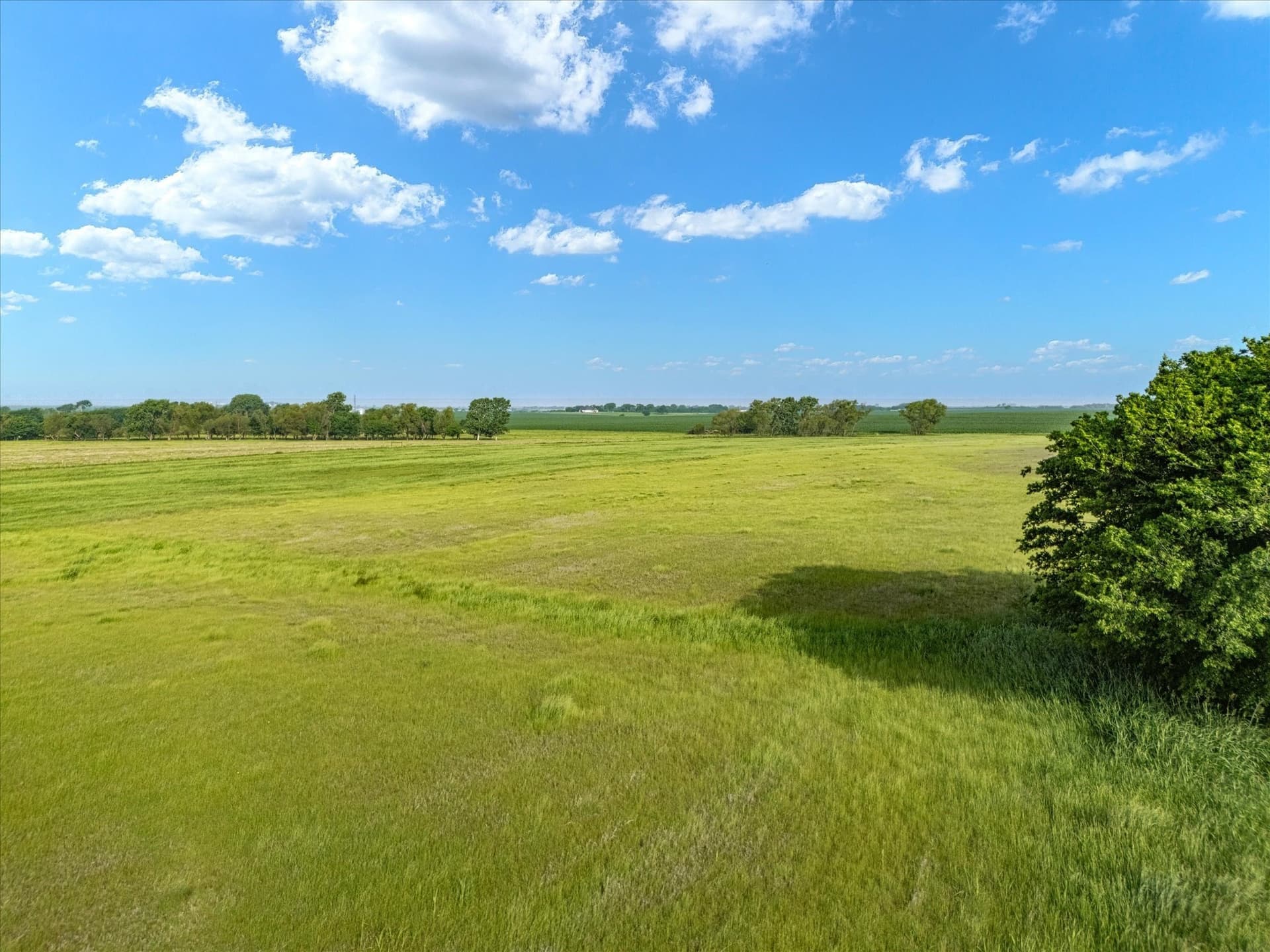 10 acres in Hill County - photo 23
