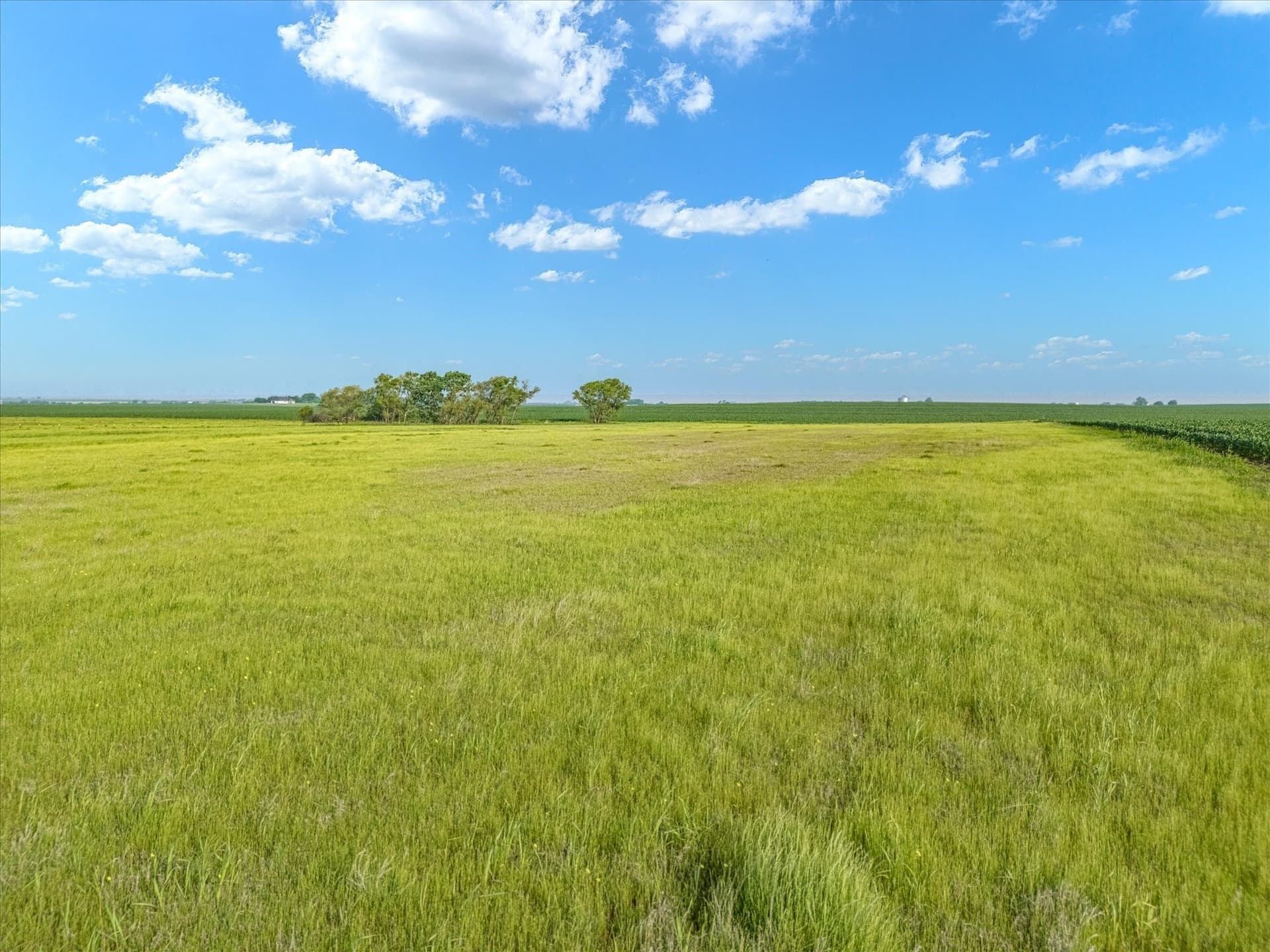 10 acres in Hill County - photo 22