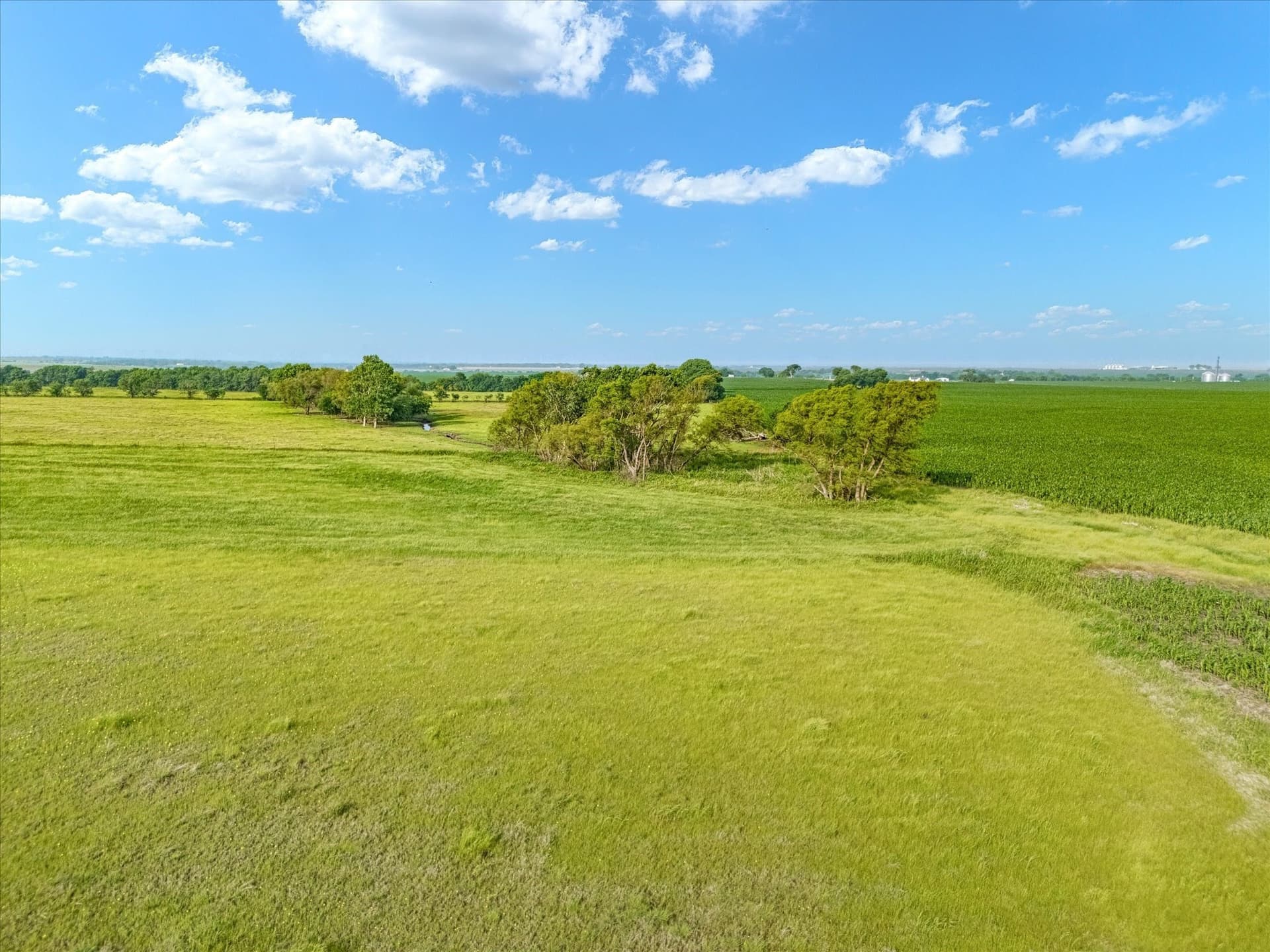 10 acres in Hill County - photo 20