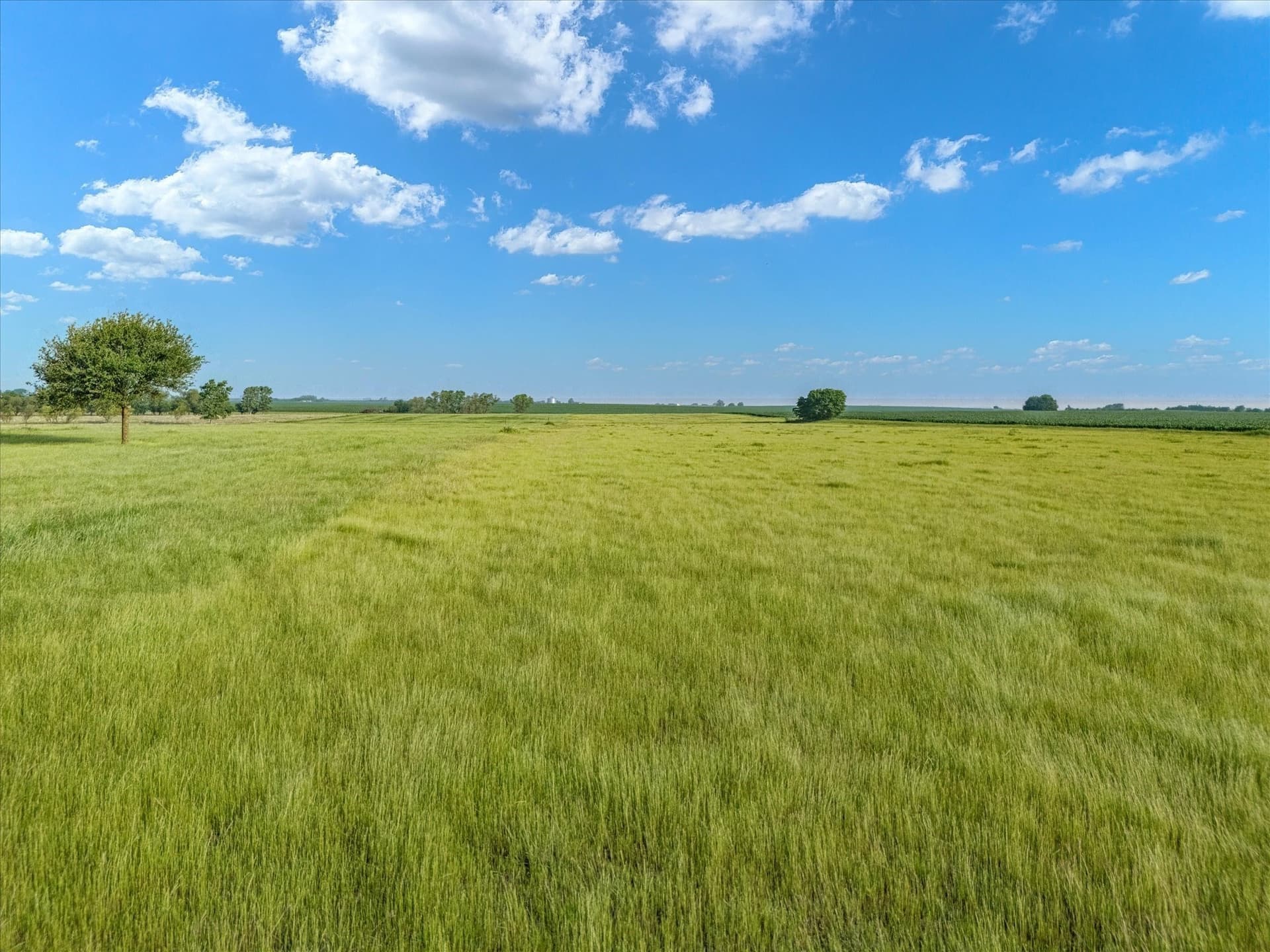 10 acres in Hill County - photo 9