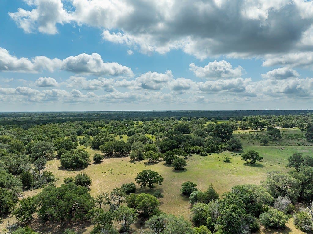 535.78 acres in Colorado County gallery image 4