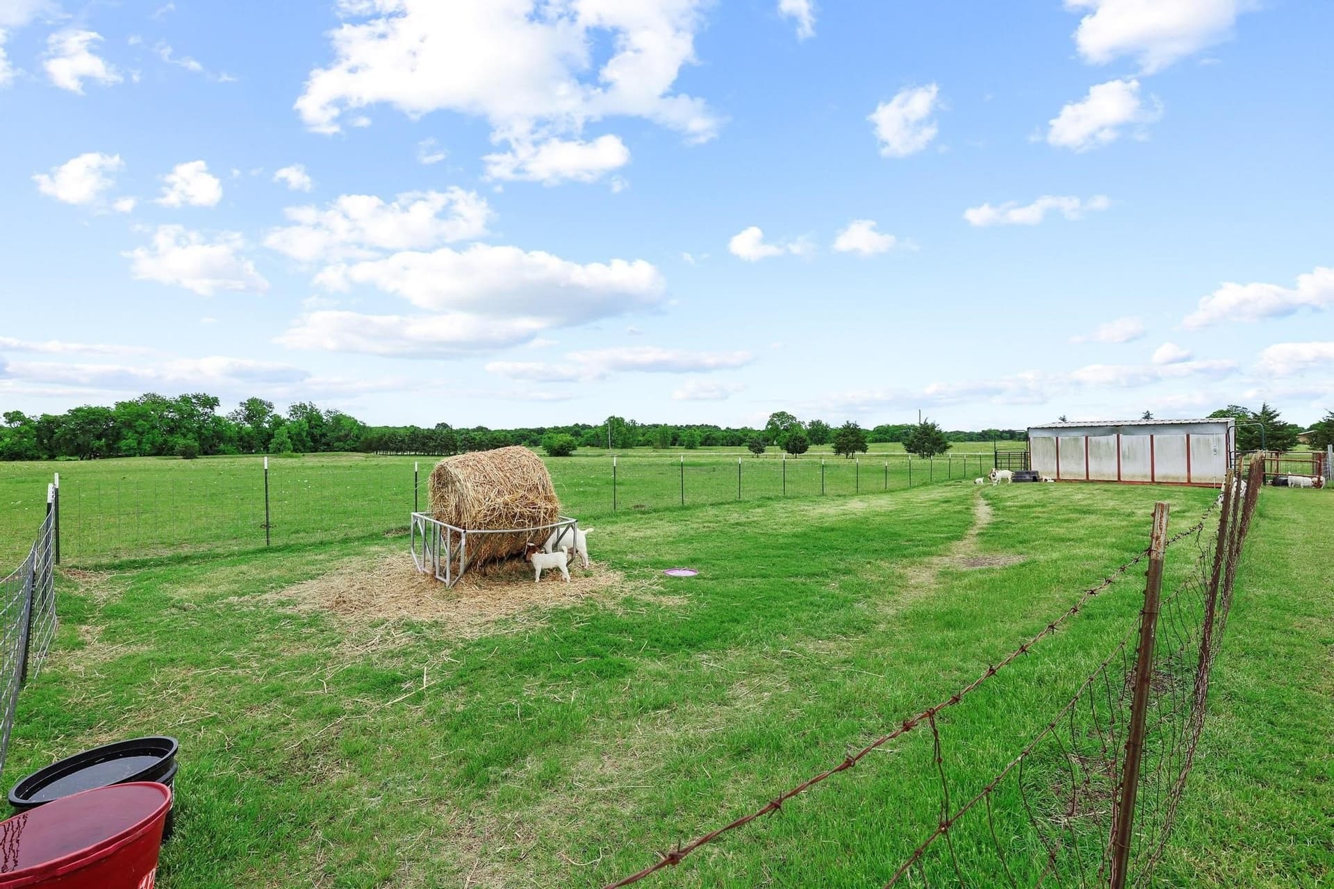 13.02 acres in Fannin County - photo 32