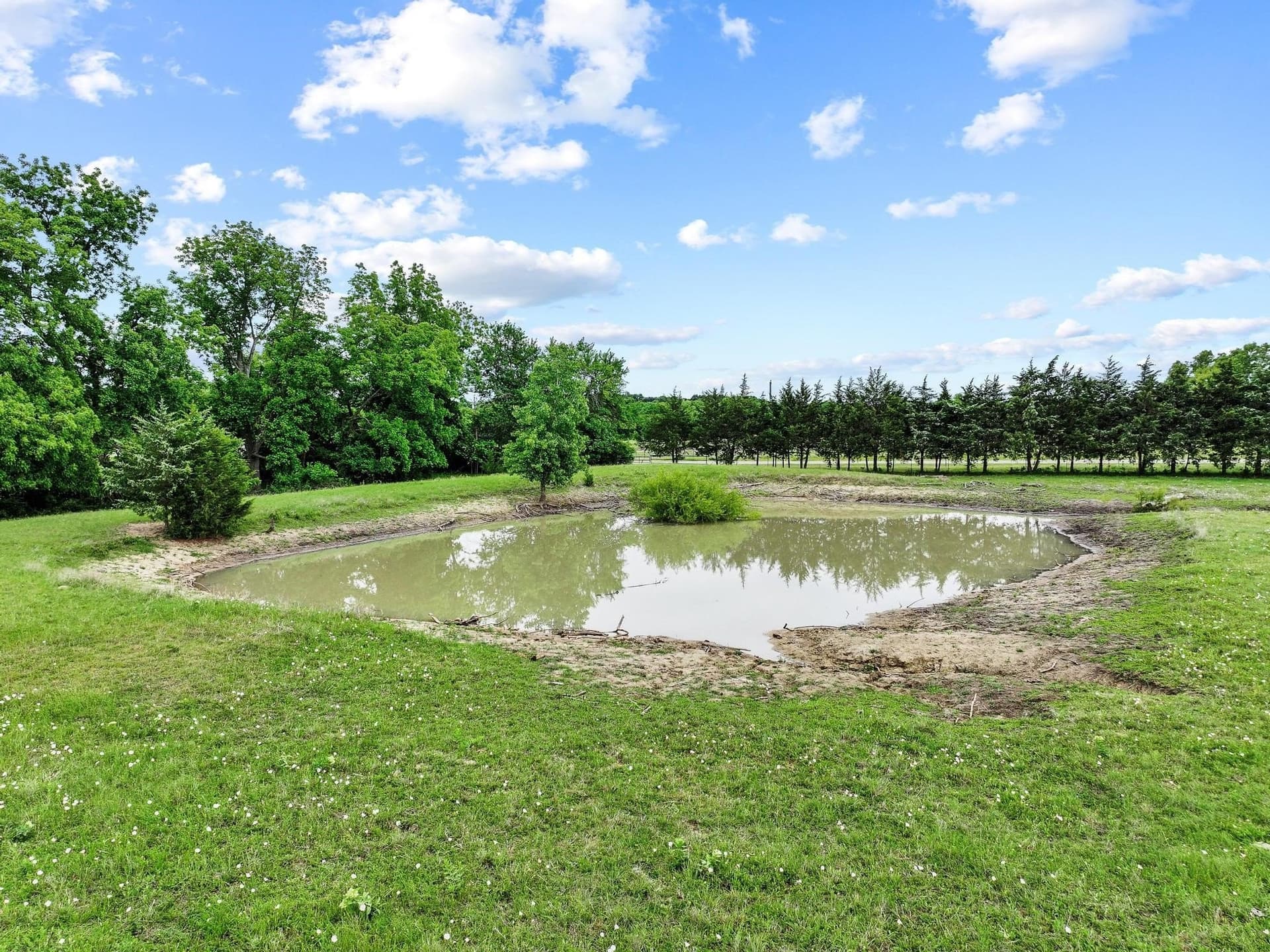 13.02 acres in Fannin County - photo 37