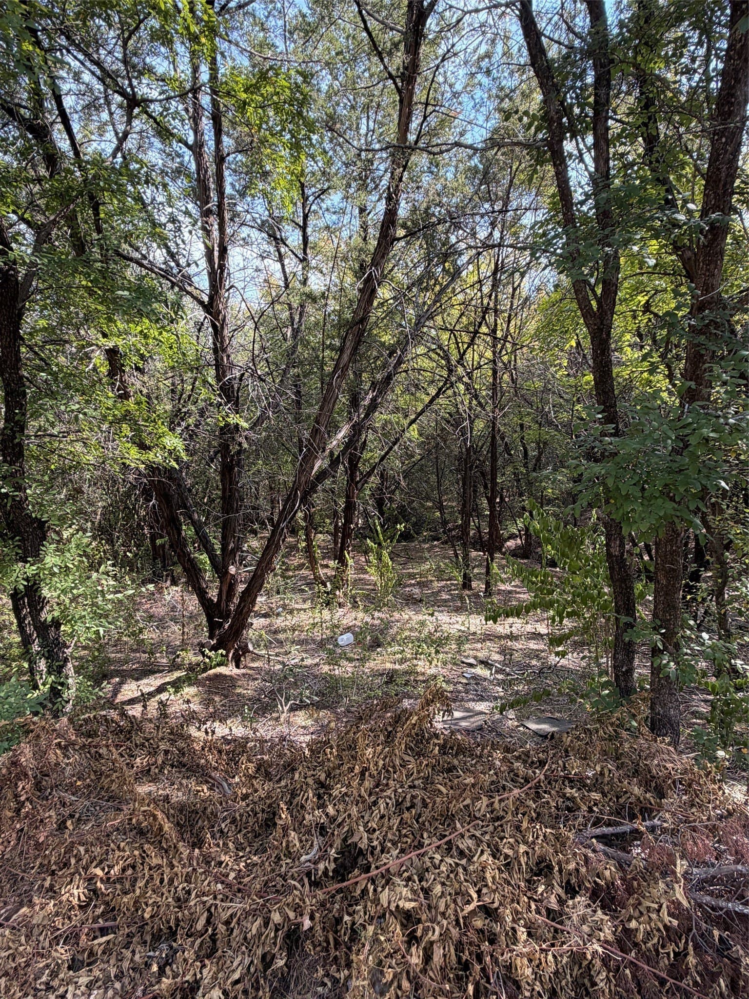 0.29 acres in Hood County - photo 3