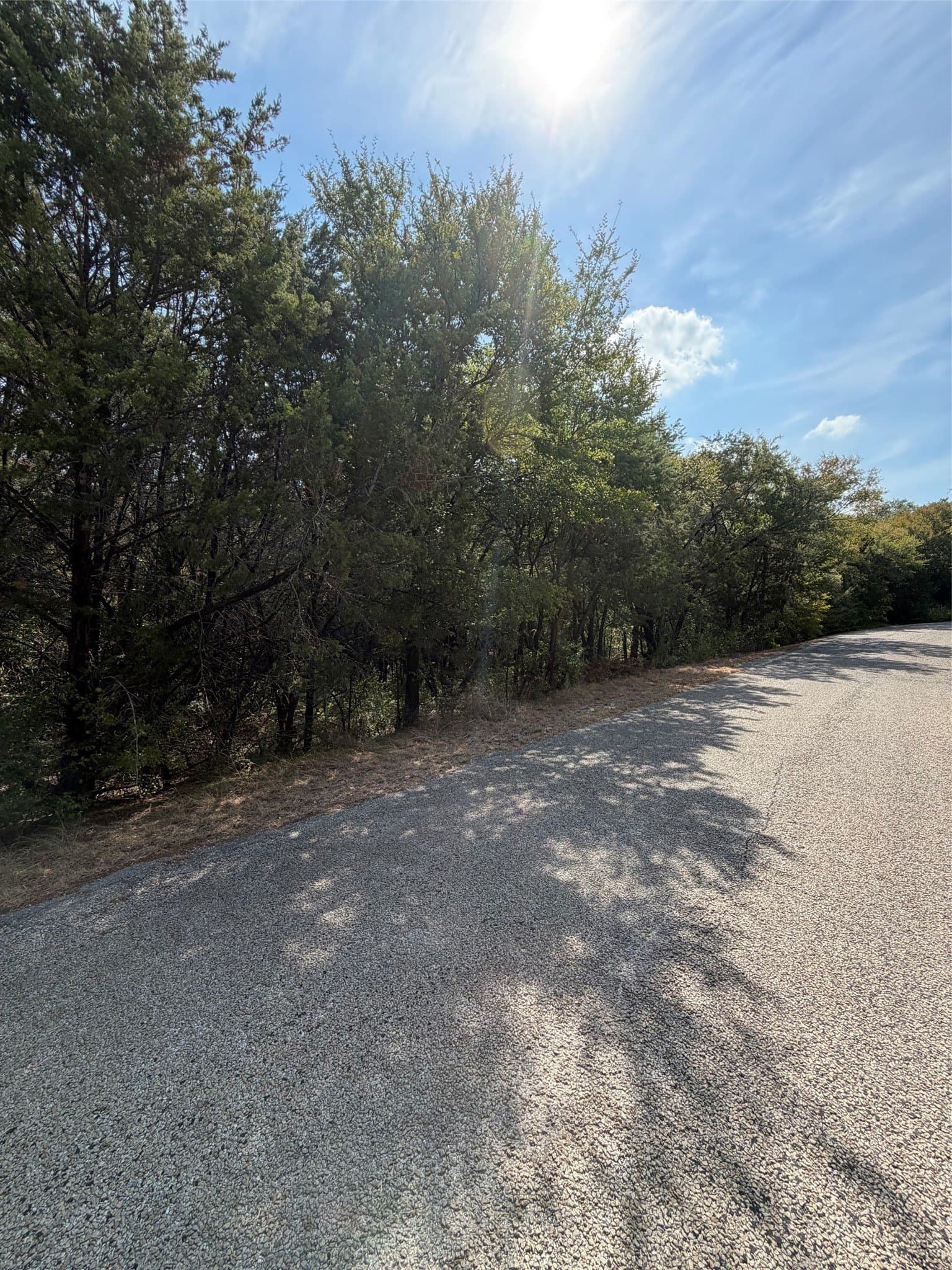 0.29 acres in Hood County - photo 2