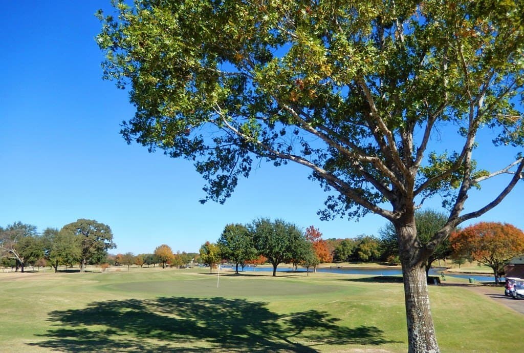 0.15 acres in Smith County - photo 23