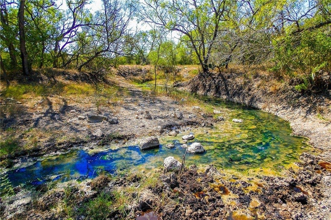 1,919 acres in Atascosa County - photo 29